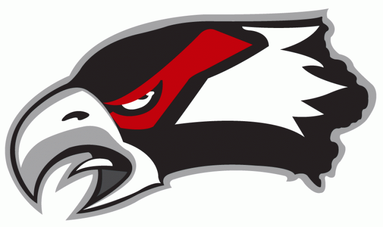 Waterloo Black Hawks 2007 08-Pres Secondary Logo vinyl decal